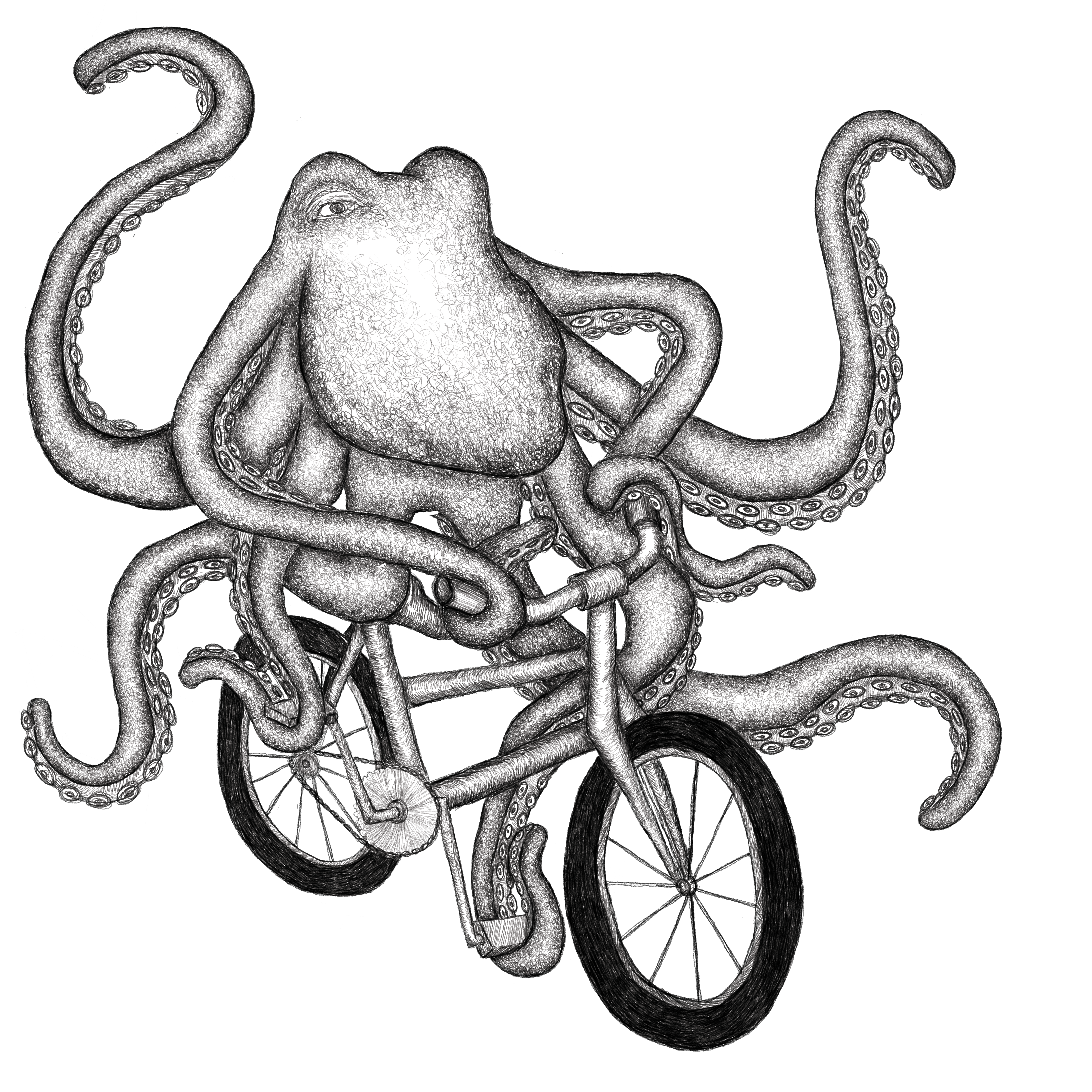 Octopus riding a bicycle