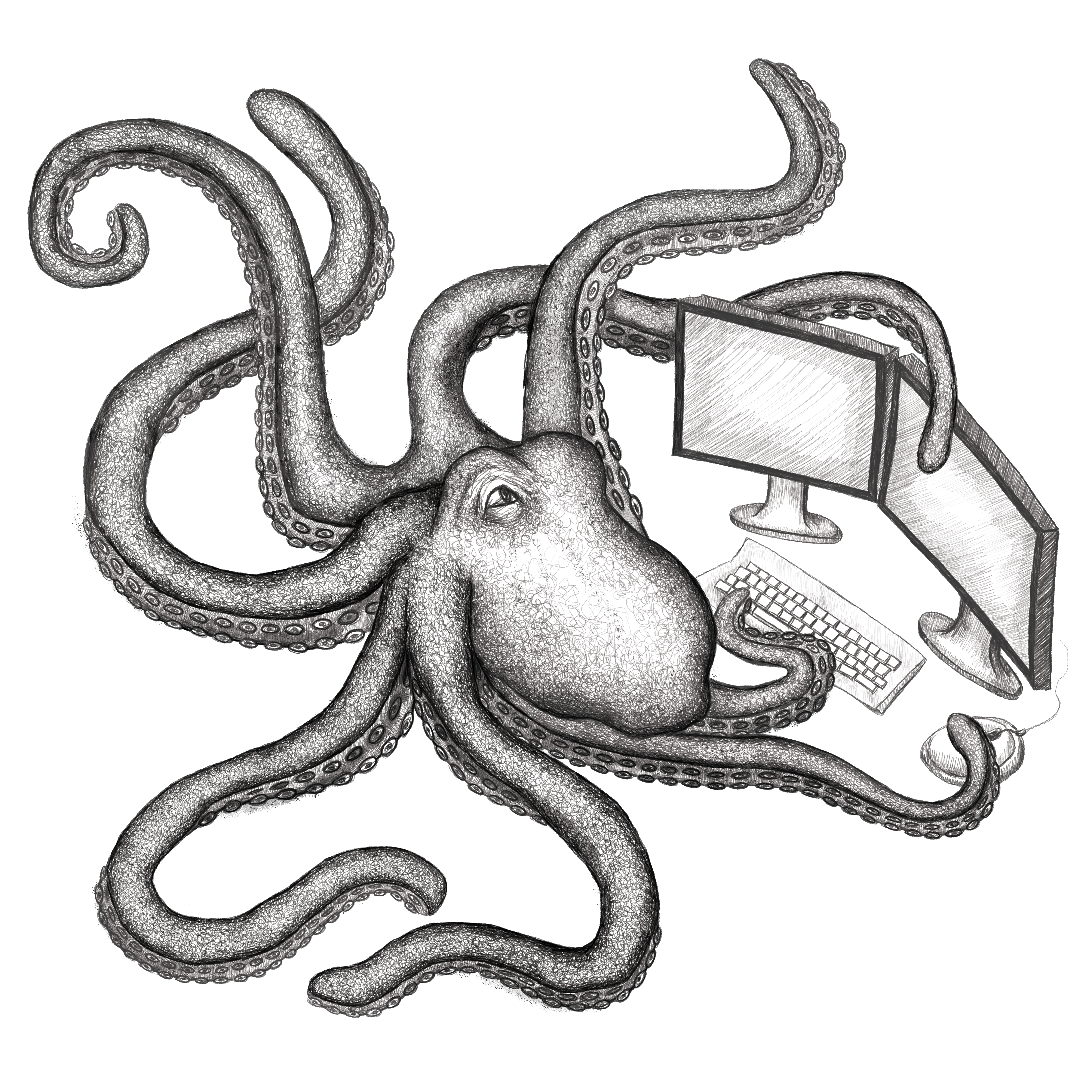 Octopus working on computer